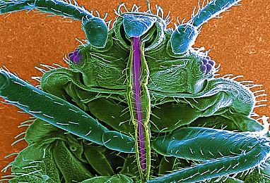 休闲游戏《初音未来Logic Paint S》 现已发售 Steam好评